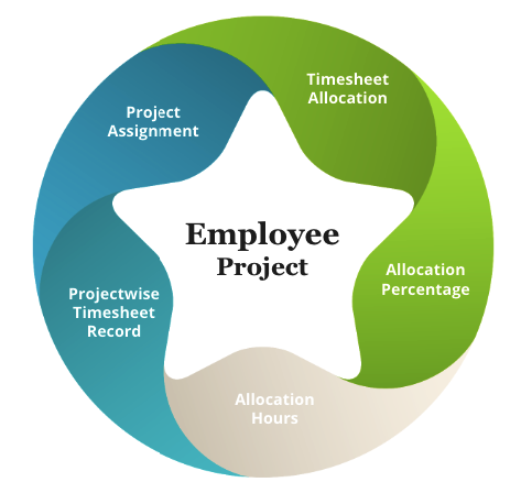 Employee Project